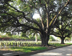 Chalmette National Cemetery